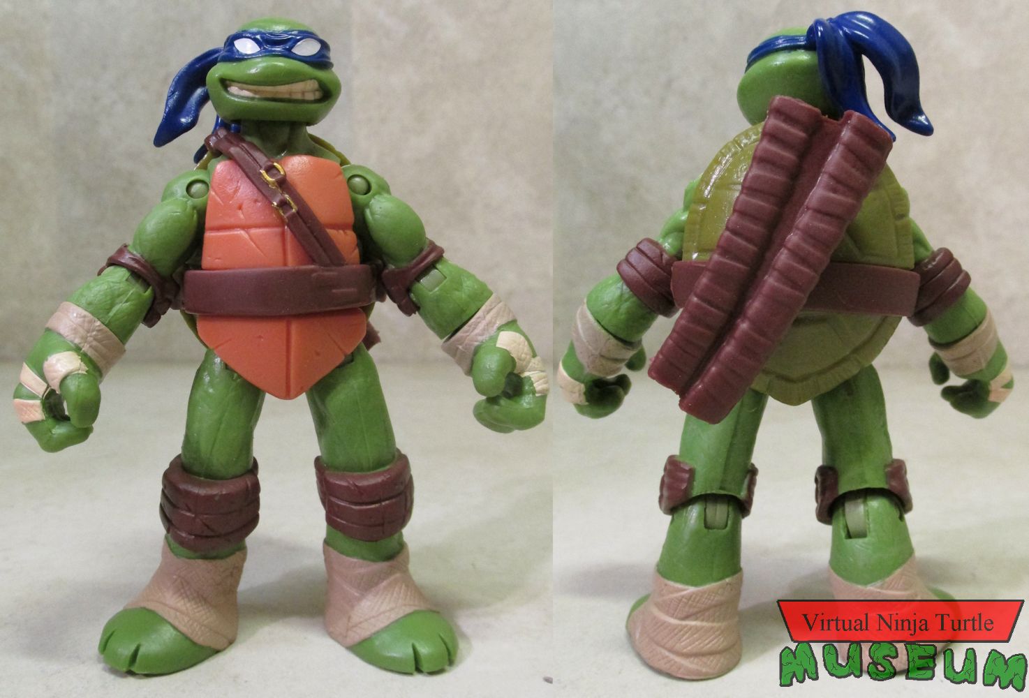 Leonardo front and back